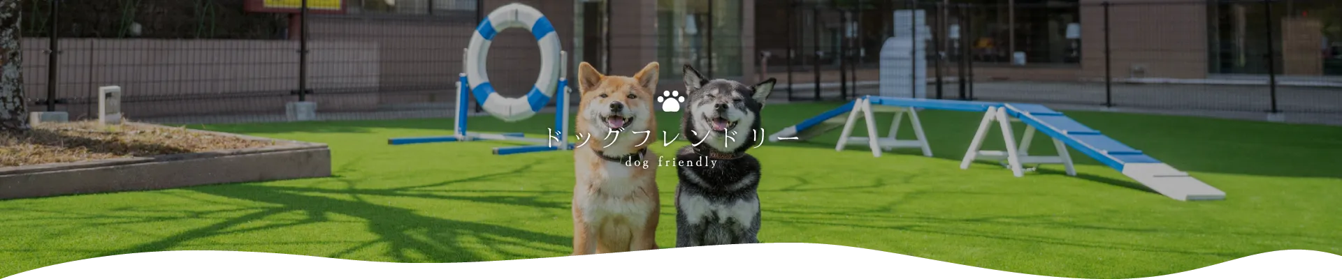 ドッグフレンドリー