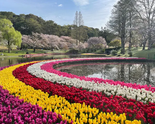 フラワーパーク